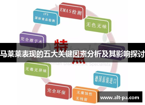 马莱莱表现的五大关键因素分析及其影响探讨