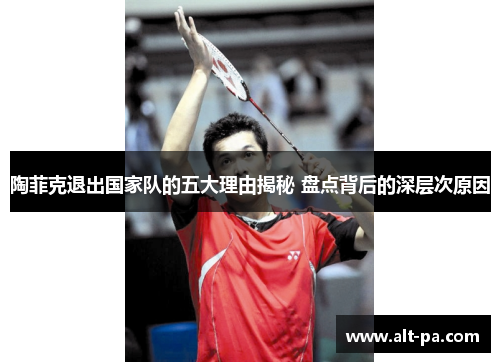 陶菲克退出国家队的五大理由揭秘 盘点背后的深层次原因 陶菲克退出国家队的五大理由揭秘 盘点背后的深层次原因