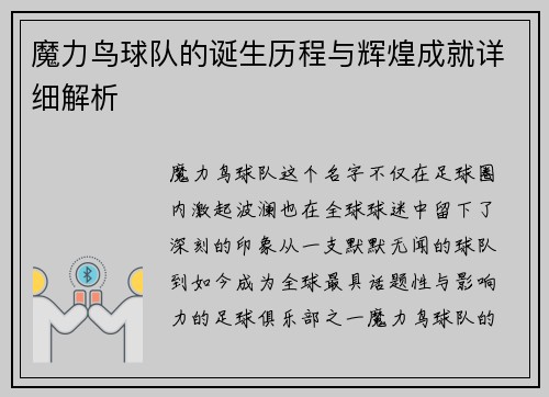 魔力鸟球队的诞生历程与辉煌成就详细解析