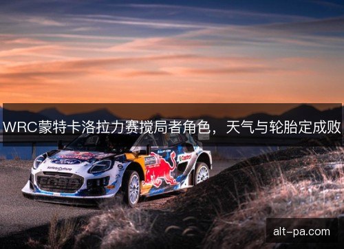 WRC蒙特卡洛拉力赛搅局者角色，天气与轮胎定成败