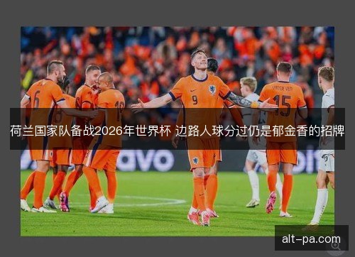 荷兰国家队备战2026年世界杯 边路人球分过仍是郁金香的招牌